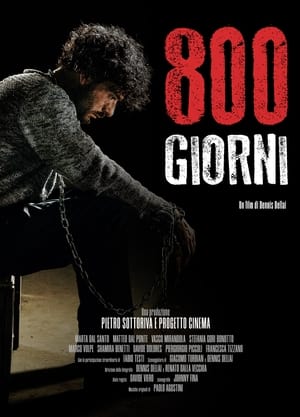 Locandina di 800 giorni